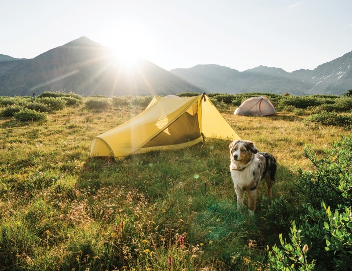 Летние развлечения на территории курорта Красная Поляна - Отель Courtyard Marriott Sochi Krasnaya Polyana / Кортъярд Марриотт Сочи Красная Поляна
